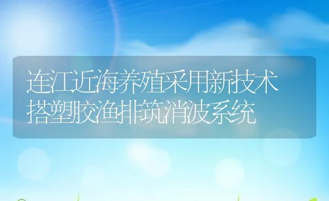 连江近海养殖采用新技术　搭塑胶渔排筑消波系统 | 动物养殖饲料