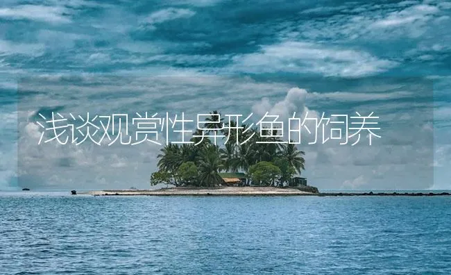 浅谈观赏性异形鱼的饲养 | 海水养殖技术