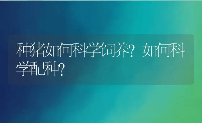 种猪如何科学饲养？如何科学配种？ | 动物养殖百科