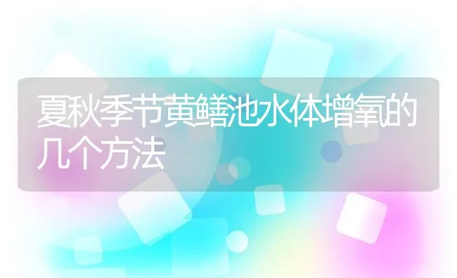 夏秋季节黄鳝池水体增氧的几个方法 | 水产养殖知识