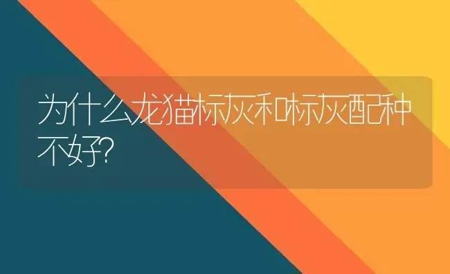 为什么龙猫标灰和标灰配种不好？ | 动物养殖问答