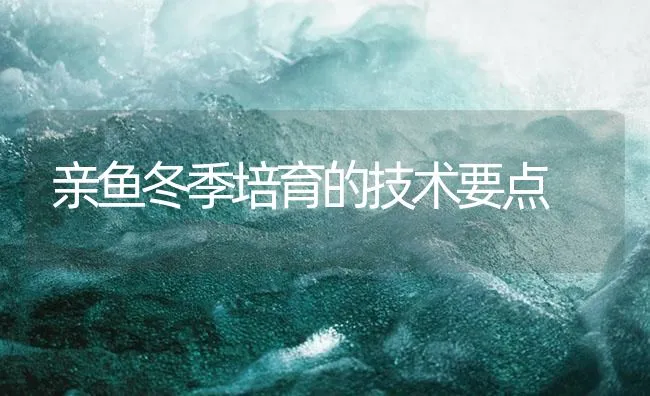 亲鱼冬季培育的技术要点 | 海水养殖技术