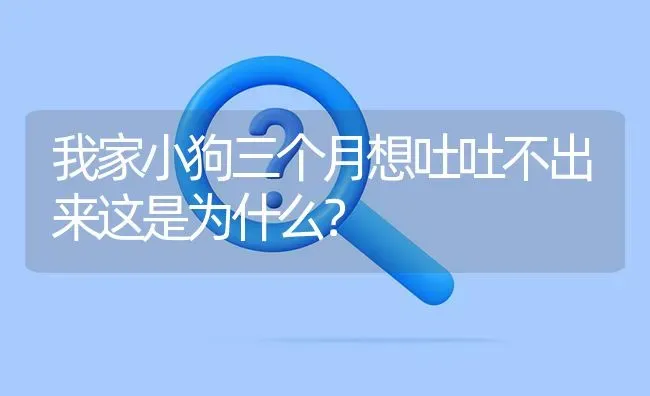 边牧一个多月老是对着主人叫怎么回事？ | 动物养殖问答