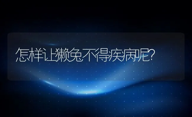 怎样让獭兔不得疾病呢？ | 水产养殖知识