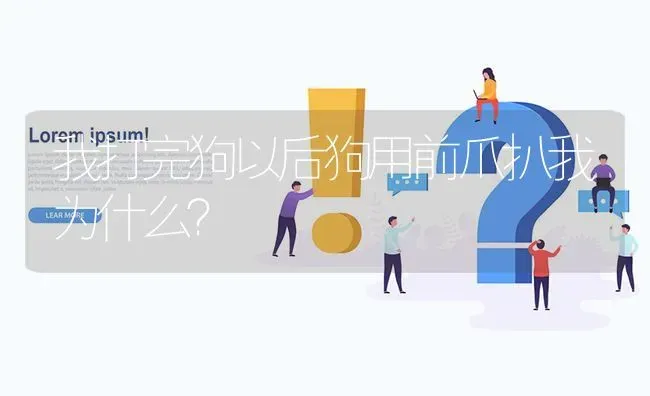 我打完狗以后狗用前爪扒我为什么？ | 动物养殖问答