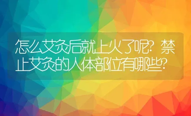 怎么艾灸后就上火了呢?禁止艾灸的人体部位有哪些? | 动物养殖百科