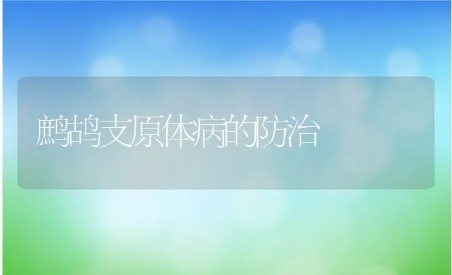 鹧鸪支原体病的防治 | 水产养殖知识