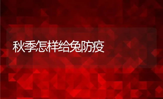 秋季怎样给兔防疫 | 动物养殖学堂