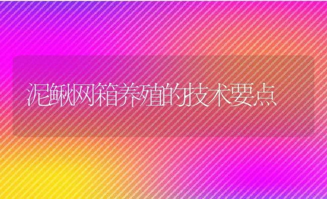 泥鳅网箱养殖的技术要点 | 水产养殖知识