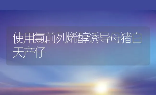 使用氯前列烯醇诱导母猪白天产仔 | 动物养殖学堂