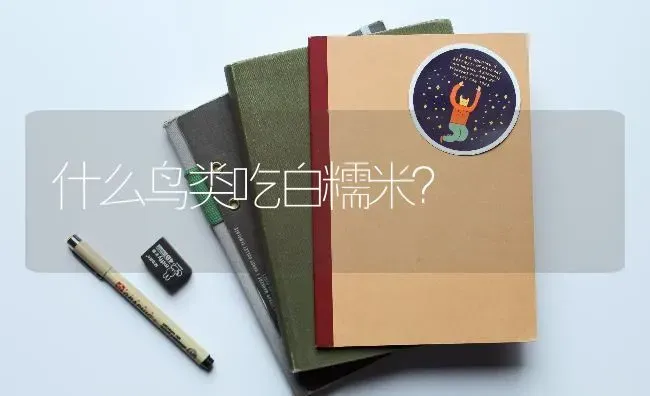 拿破仑矮脚猫一年生几窝？ | 动物养殖问答