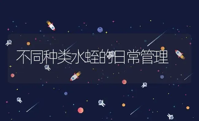 不同种类水蛭的日常管理 | 动物养殖教程