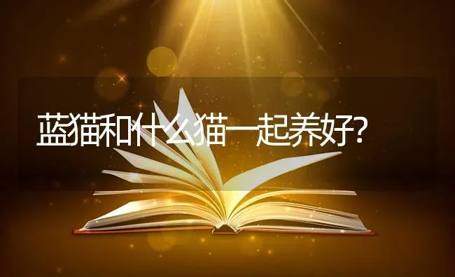 80斤的阿拉斯加能长多高多长？ | 动物养殖问答