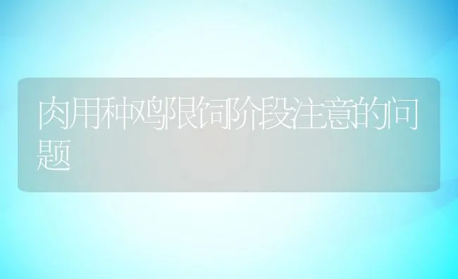 黄鳝的孵化疾病防治技术 | 动物养殖学堂