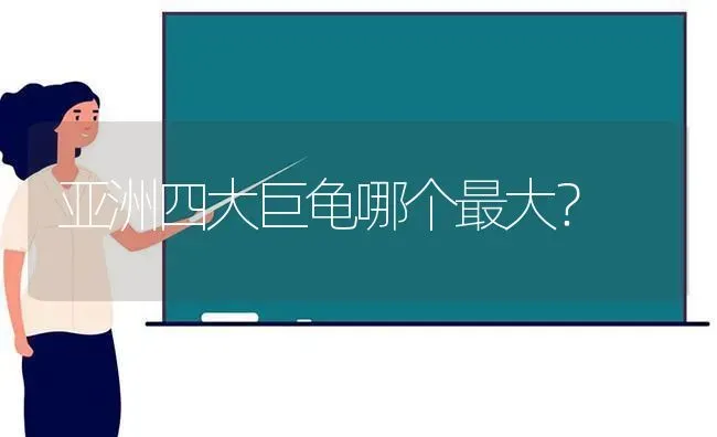 亚洲四大巨龟哪个最大？ | 动物养殖问答