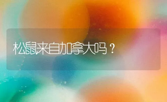 比熊犬的危害？ | 动物养殖问答