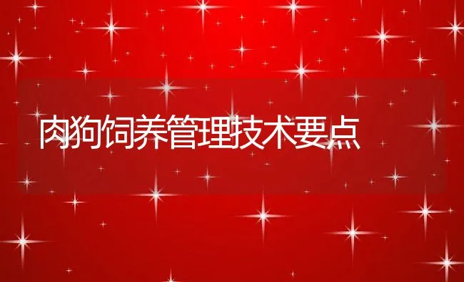 肉狗饲养管理技术要点 | 动物养殖学堂