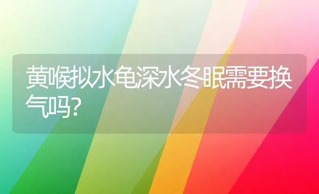 黄喉拟水龟深水冬眠需要换气吗？ | 动物养殖问答