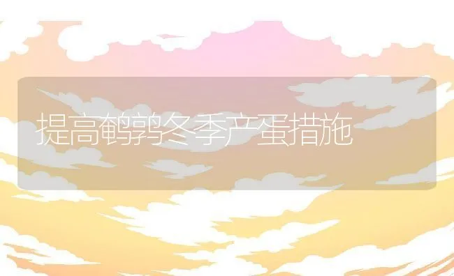 惠东平海地区南美白对虾：高位池养殖模式调查报告 | 海水养殖技术