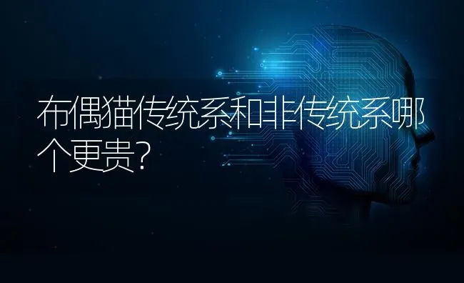 布偶猫传统系和非传统系哪个更贵？ | 动物养殖问答