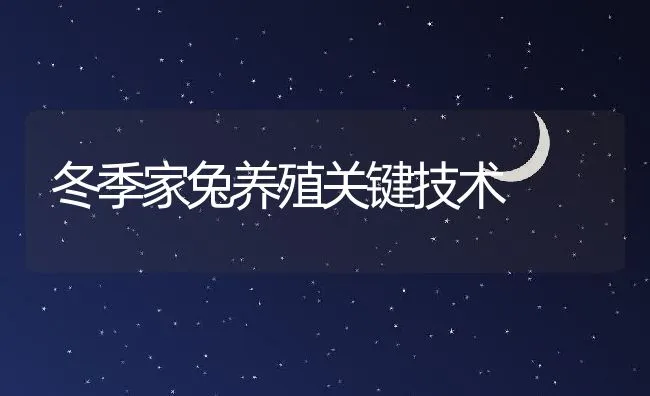 冬季家兔养殖关键技术 | 水产养殖知识