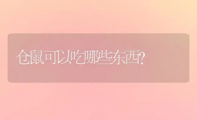 仓鼠可以吃哪些东西？ | 动物养殖问答