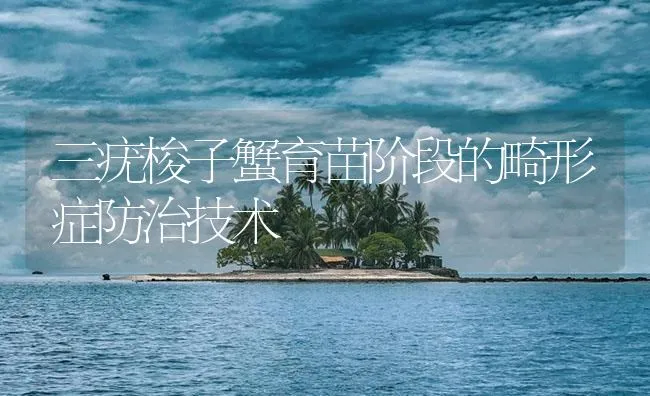 三疣梭子蟹育苗阶段的畸形症防治技术 | 海水养殖技术