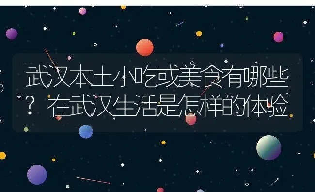 武汉本土小吃或美食有哪些?在武汉生活是怎样的体验 | 动物养殖百科