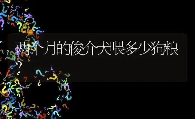 两个月的俊介犬喂多少狗粮？ | 动物养殖问答