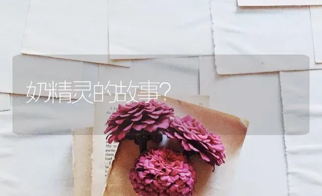 奶精灵的故事？ | 动物养殖问答