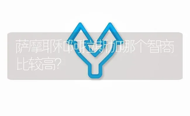 萨摩耶和阿拉斯加哪个智商比较高？ | 动物养殖问答