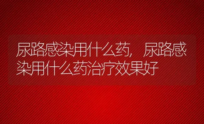 尿路感染用什么药,尿路感染用什么药治疗效果好 | 宠物百科知识