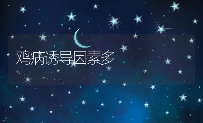 鸡病诱导因素多 | 动物养殖学堂