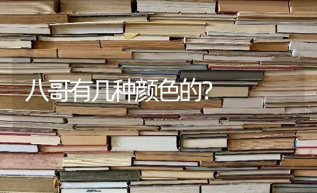 八哥有几种颜色的？ | 动物养殖问答