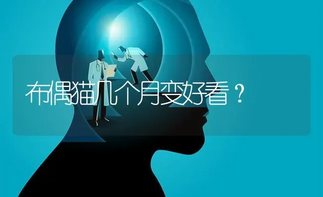 布偶猫几个月变好看？ | 动物养殖问答