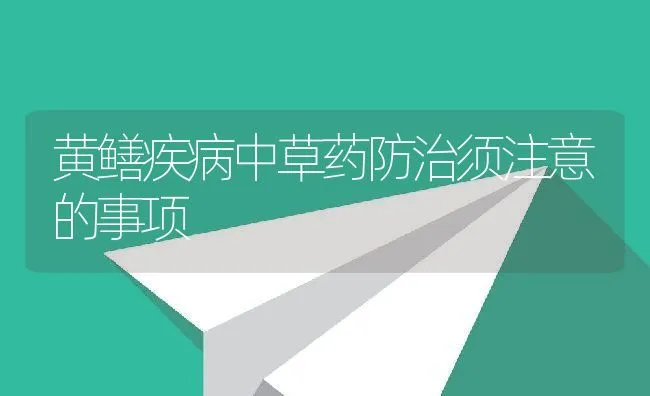 黄鳝疾病中草药防治须注意的事项 | 水产养殖知识