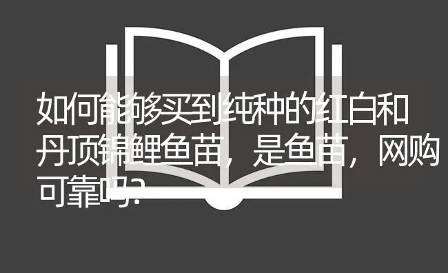 如何能够买到纯种的红白和丹顶锦鲤鱼苗，是鱼苗，网购可靠吗？ | 鱼类宠物饲养