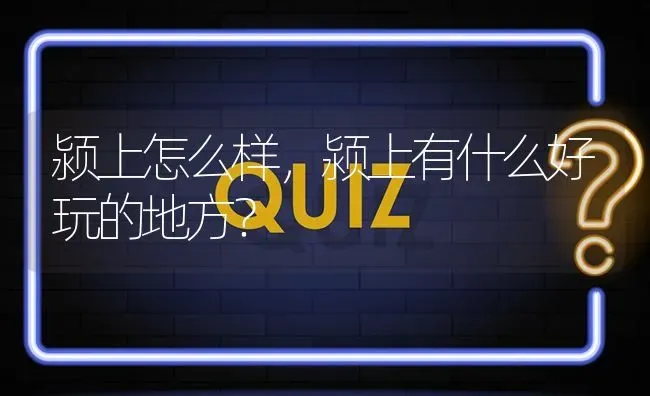 10个月拉布拉多犬训练方法？ | 动物养殖问答