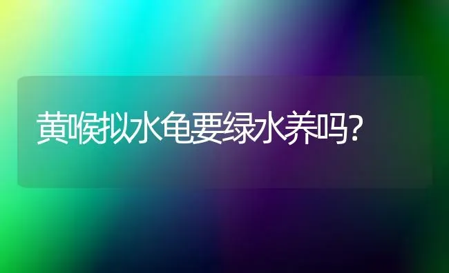 黄喉拟水龟要绿水养吗？ | 动物养殖问答