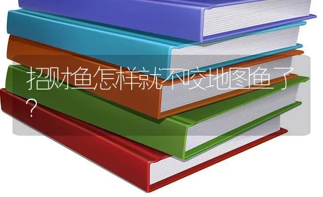 招财鱼怎样就不咬地图鱼了？ | 鱼类宠物饲养