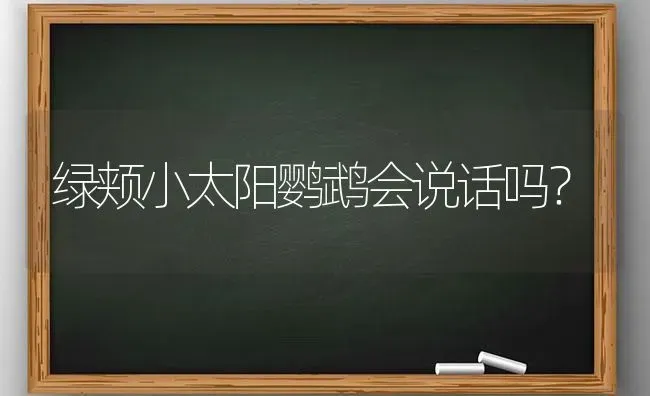 绿颊小太阳鹦鹉会说话吗？ | 动物养殖问答