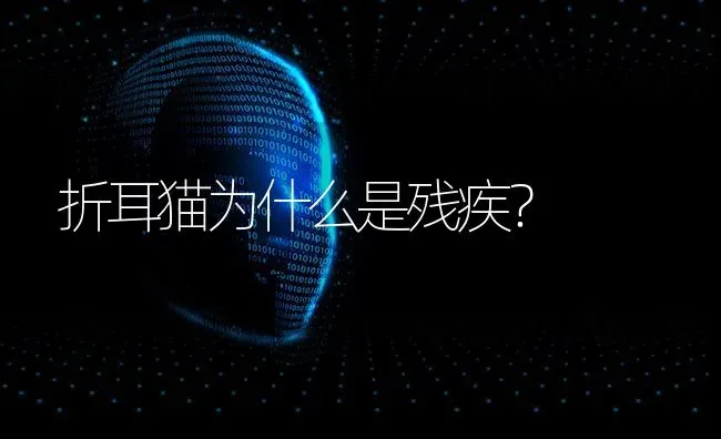 折耳猫为什么是残疾？ | 动物养殖问答