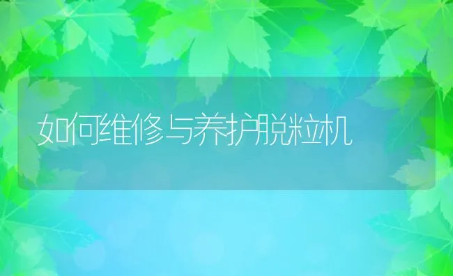 如何维修与养护脱粒机 | 动物养殖学堂