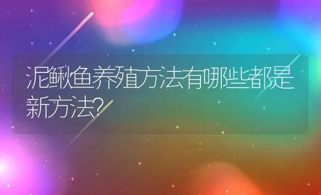 泥鳅鱼养殖方法有哪些都是新方法？ | 动物养殖百科