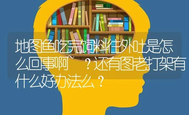 地图鱼吃完饲料往外吐是怎么回事啊~？还有图老打架有什么好办法么？ | 鱼类宠物饲养