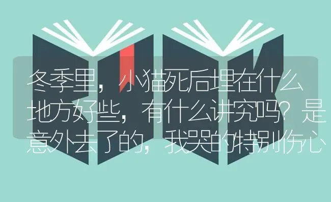 冬季里，小猫死后埋在什么地方好些，有什么讲究吗？是意外去了的，我哭的特别伤心？ | 动物养殖问答