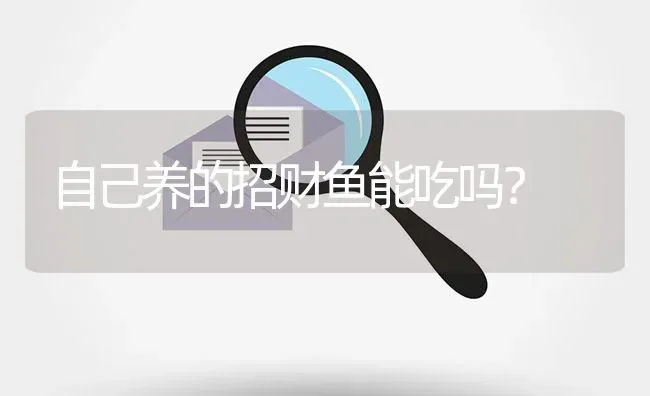 自己养的招财鱼能吃吗？ | 鱼类宠物饲养