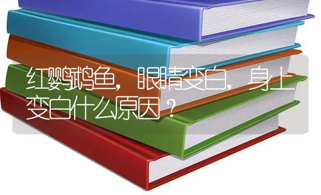 红鹦鹉鱼，眼睛变白，身上变白什么原因？ | 鱼类宠物饲养