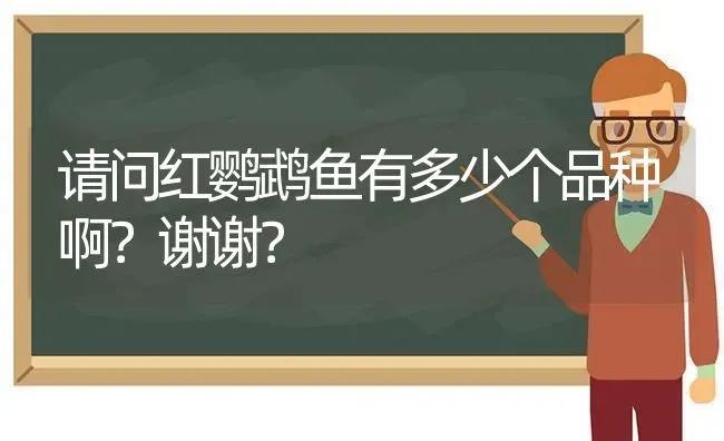 请问红鹦鹉鱼有多少个品种啊？谢谢？ | 动物养殖问答