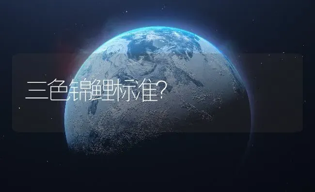 三色锦鲤标准？ | 鱼类宠物饲养